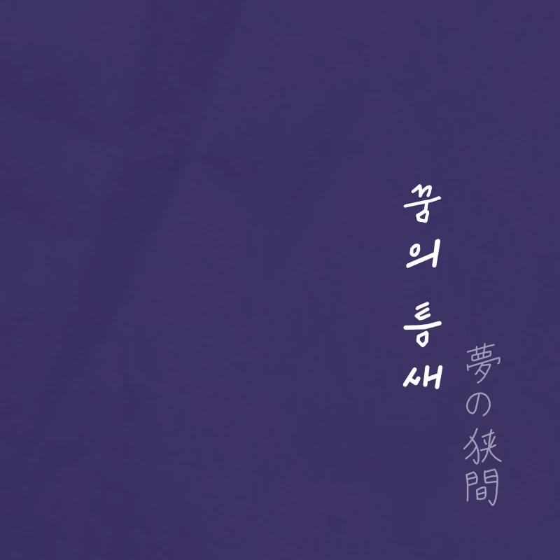 꿈의 틈새